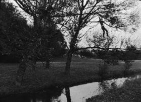 Digital Fusion TIFF File